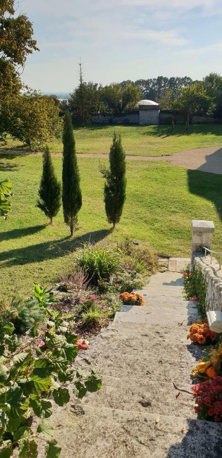 Domaine De Bourgville Monts-sur-Guesnes Εξωτερικό φωτογραφία