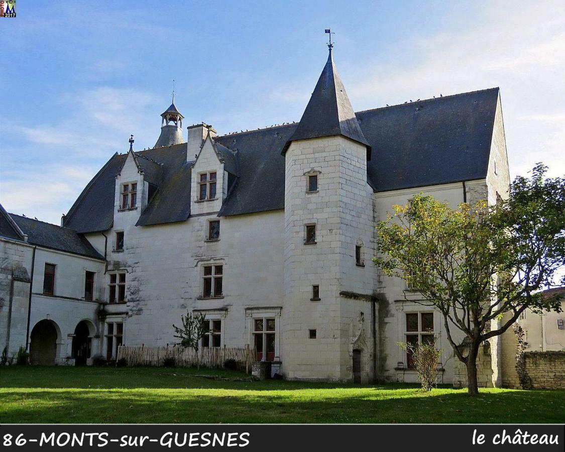 Domaine De Bourgville Monts-sur-Guesnes Εξωτερικό φωτογραφία